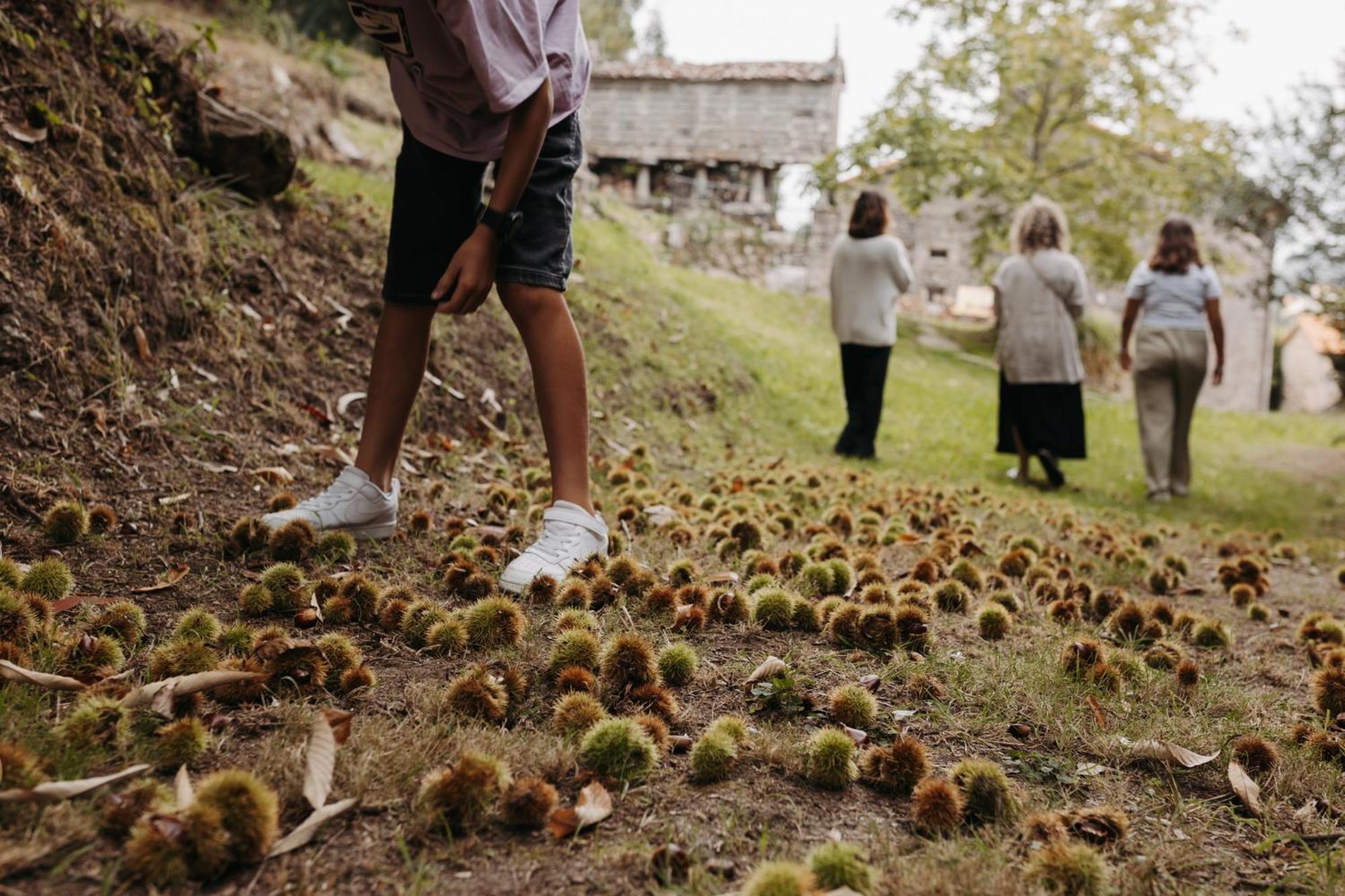 Arrueiro Konuk evi Laxe Dış mekan fotoğraf
